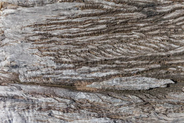 Old Wood Texture Vintage Natural Background — Stock Photo, Image