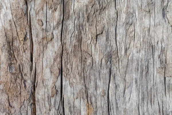 Vecchio Legno Texture Vintage Sfondo Naturale — Foto Stock