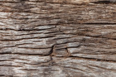 Eski ahşap doku, klasik doğal arkaplan.