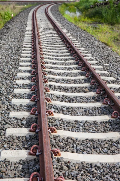 Railway Railroad Train Tracks Green Pasture — Stock Photo, Image