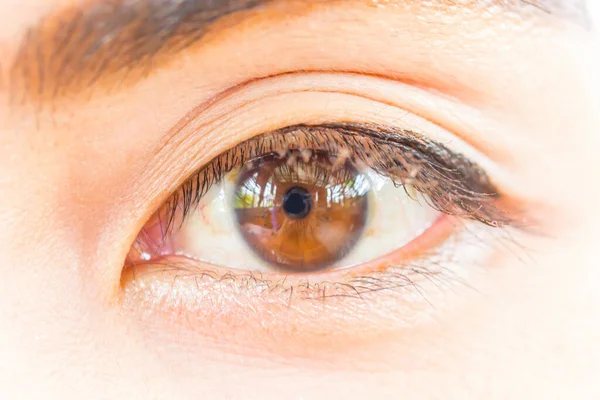Close up picture of brown eyes from a young woman asia