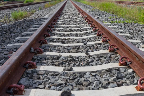 Ferroviária Ferrovia Trilhas Trem Com Pasto Verde — Fotografia de Stock