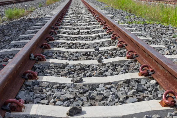 Demiryolu Demiryolu Tren Rayları Yeşil Otlaklı — Stok fotoğraf