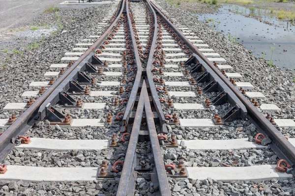 Ferroviária Ferrovia Trilhas Trem Com Pasto Verde — Fotografia de Stock