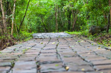 Şelaleden geçen taş patika, Tayland