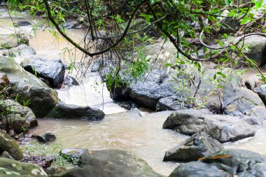 Yeşil orman şelalesini kapatın, Tayland