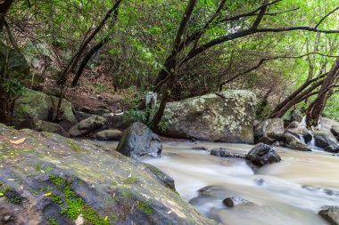 Yeşil orman şelalesini kapatın, Tayland
