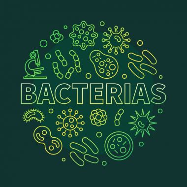Bakterilerin vektör yuvarlak yeşil çizimde ince çizgi stili