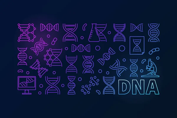 Vector DNA colorful horizontal banner or linear illustration — Stock Vector