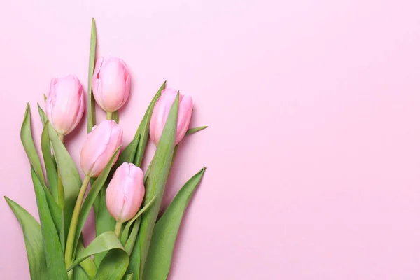 Tulipanes rosados sobre el fondo rosado. Asiento plano, vista superior. Valenti. — Foto de Stock