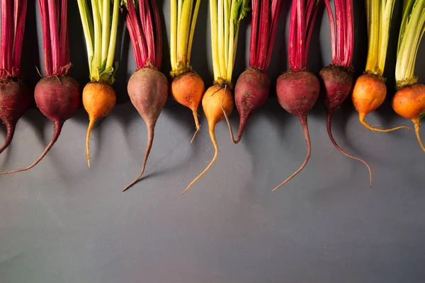 Mix of red and gold beets on grey background. Food background. C