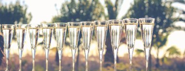 Birçok bardak şampanya veya yakınındaki bir luxu resort havuz prosecco