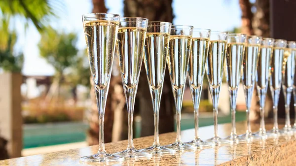 Muitos copos de champanhe ou prosecco perto da piscina resort em um luxu — Fotografia de Stock