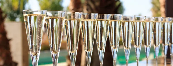 Many glasses of champagne or prosecco near resort pool in a luxu — Stock Photo, Image