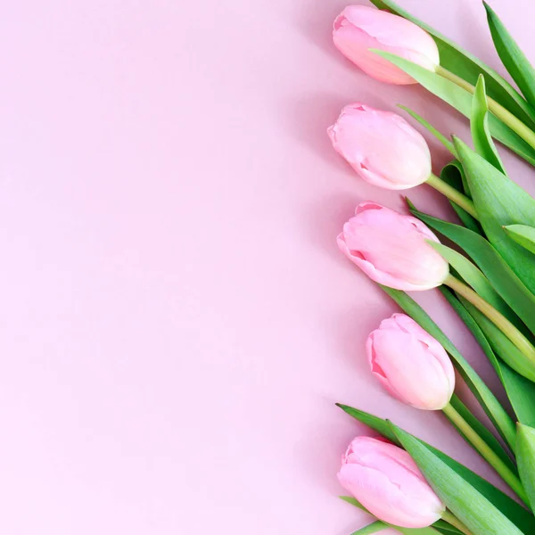 Rosa Tulpen Auf Dem Rosa Hintergrund Flache Lage Draufsicht Valentines — Stockfoto