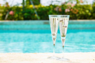 İki kadeh prosecco kokteyl, kenar o yaban mersini ile