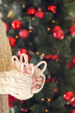 Naneli şekerler yığını tutan kız. Noel tatili 