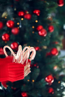 Naneli şekerler yığını tutan kız. Noel tatili 