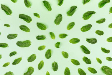 Nane yaprakları modayı takip ediyor.