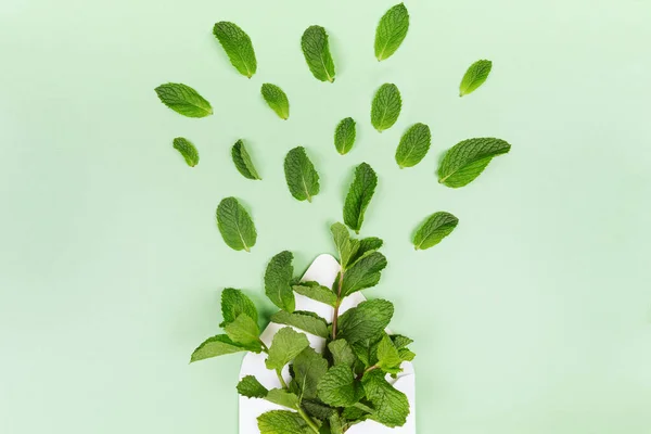 Sobre blanco con hojas de menta volando sobre el fondo verde sólido de moda — Foto de Stock