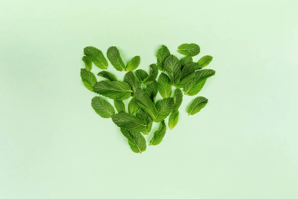 Corazón hecho de hojas de menta en el moderno fondo verde sólido, concepto de ecología — Foto de Stock