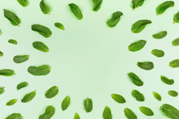 Patrón de hojas de menta en el fondo verde sólido de moda — Foto de Stock