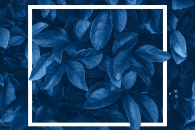 Klasik mavi tonlama ile yeşil yapraklar desen arka planı