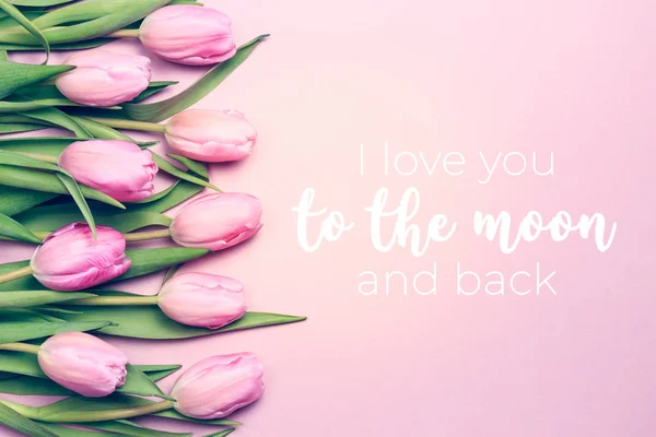Adoro-te até à lua e às costas, com tulipas cor-de-rosa no fundo rosa. Deitado plano, vista superior. Dia dos Namorados e Mães fundo . — Fotografia de Stock