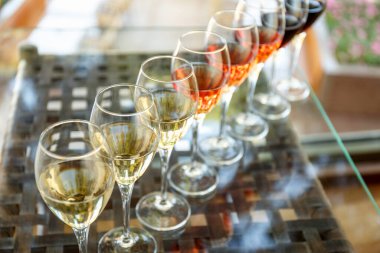 Hafif yaz ortamında şarap tatma seti. Özel şarap tatma konsepti