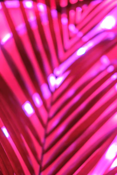 Futuristické rozmazané neonové kapky v červené a růžové se stopami palmové zeleně — Stock fotografie