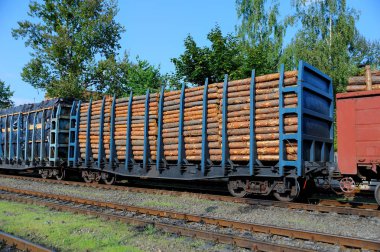 yük treni çam dalları ile yüklü