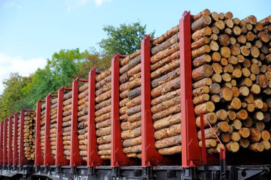 yük treni çam dalları ile yüklü