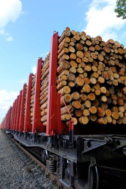 yük treni çam dalları ile yüklü