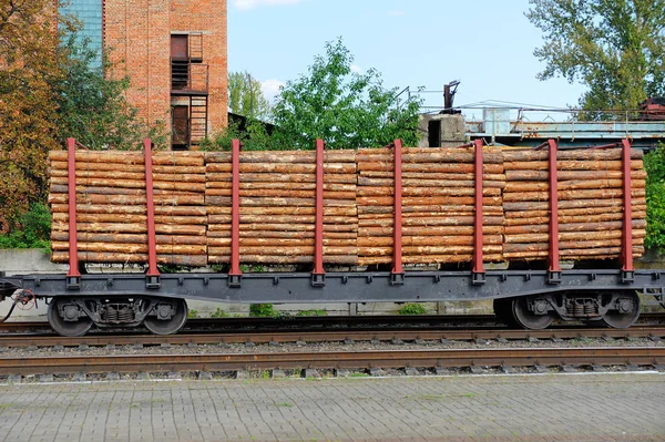 Грузовой поезд с сосновыми стволами — стоковое фото