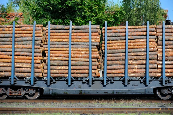 yük treni çam dalları ile yüklü