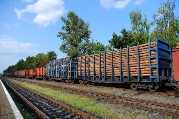 Güterzug mit Kiefernstämmen beladen — Stockfoto