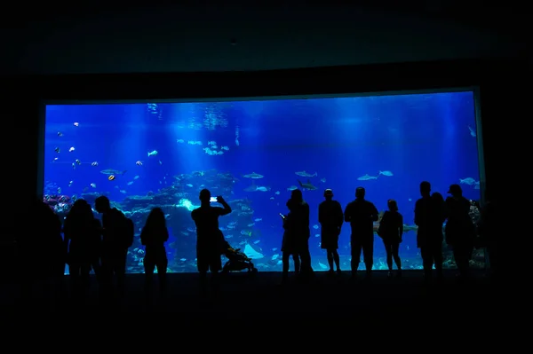 Mensen staan in de buurt van een groot aquarium — Stockfoto