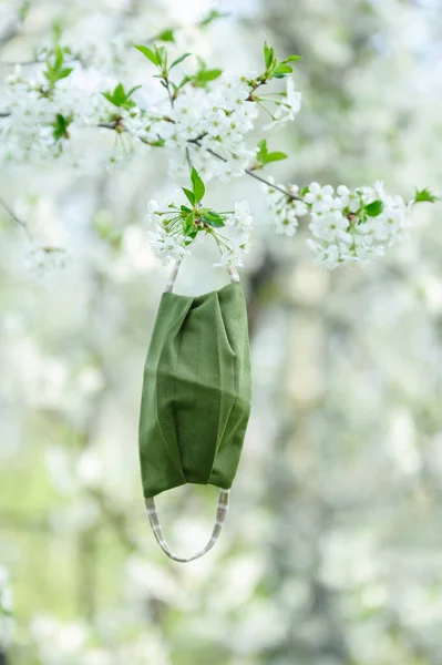 Handgemaakte Medische Maskers Hangen Aan Een Bloeiende Kersenboom Quarantaine Astma — Stockfoto