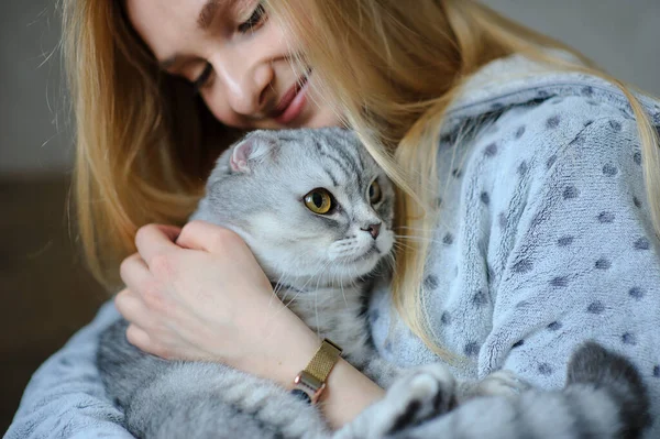 침대에 귀여운 고양이가 아름다운 아가씨 — 스톡 사진