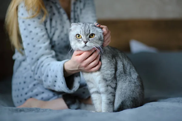 Beautiful Young Woman Cute Cat Bed — Stock Photo, Image