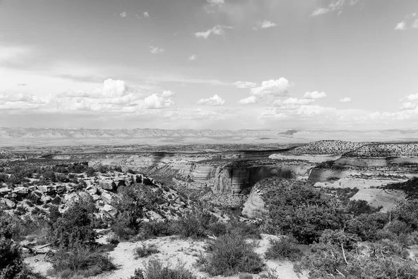Colorado National Monument and Book Cliffs in Monochrome
