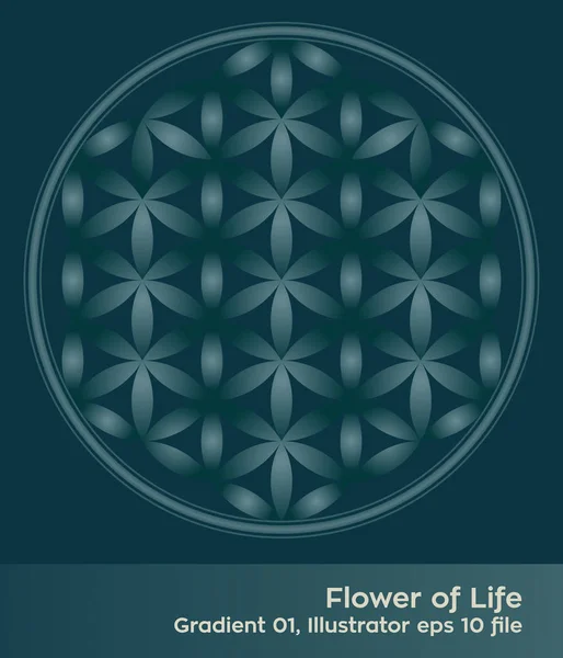 Buddyzm Czakra ilustracja: kwiat życia gradientu — Wektor stockowy