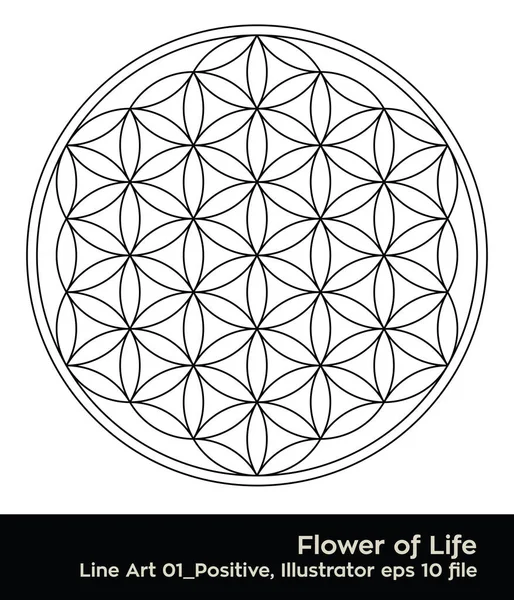 Buddhism chakra illustration: Flower of Life colouring page — Stock Vector