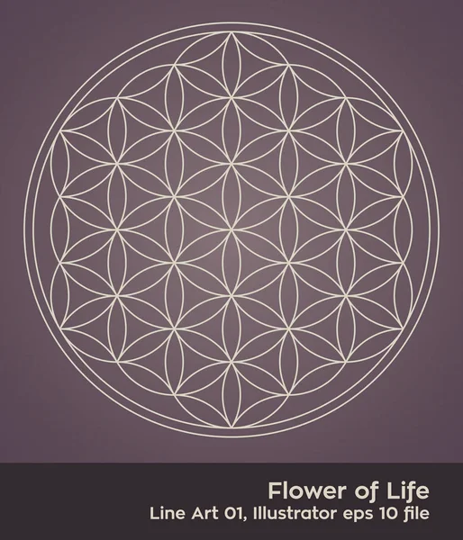 Buddhismo chakra illustrazione: Flower of Life Simple — Vettoriale Stock