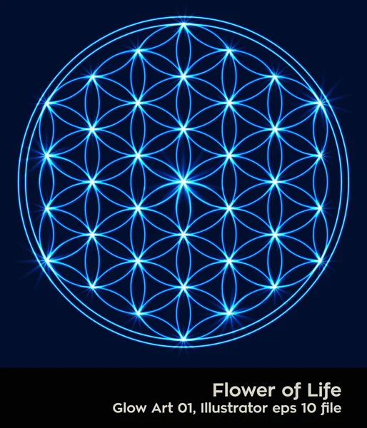 Buddhism chakra illustration: Flower of Life Glowing — Stock Vector