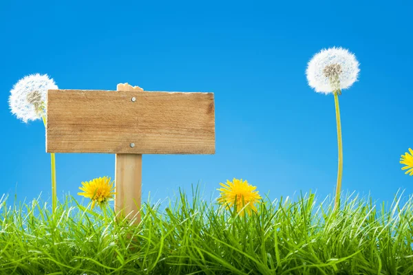 Summer / Spring Scene with Green Grass and Clear Blue Sky - Empty Wooden Sign Post and Dandelions — Stock Photo, Image