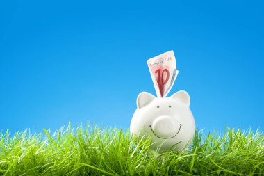 Çim, banknot ile mutlu Piggy banka mavi gökyüzü