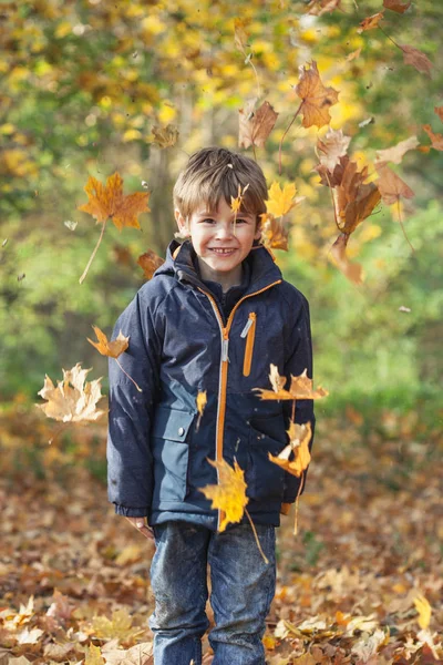 Niño pequeño y hojas de otoño, al aire libre en el bosque sonriendo y —  Fotos de Stock