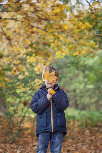 Μικρό αγόρι και φύλλα του φθινοπώρου, σε εξωτερικούς χώρους μέσα στο δάσος που κρύβονται πίσω από — Φωτογραφία Αρχείου