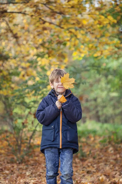 Chico pequeño y hojas de otoño, al aire libre en el bosque jugando a mirar —  Fotos de Stock